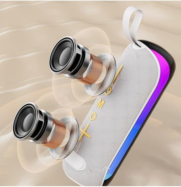Enceinte Bluetooth portable WISME WS-Y5 – Multi-entrées