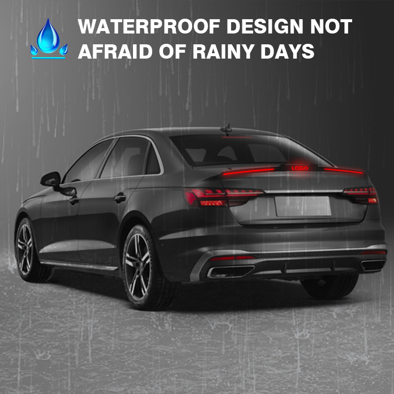 Feu Arrière LED Carbone à 3 Segments